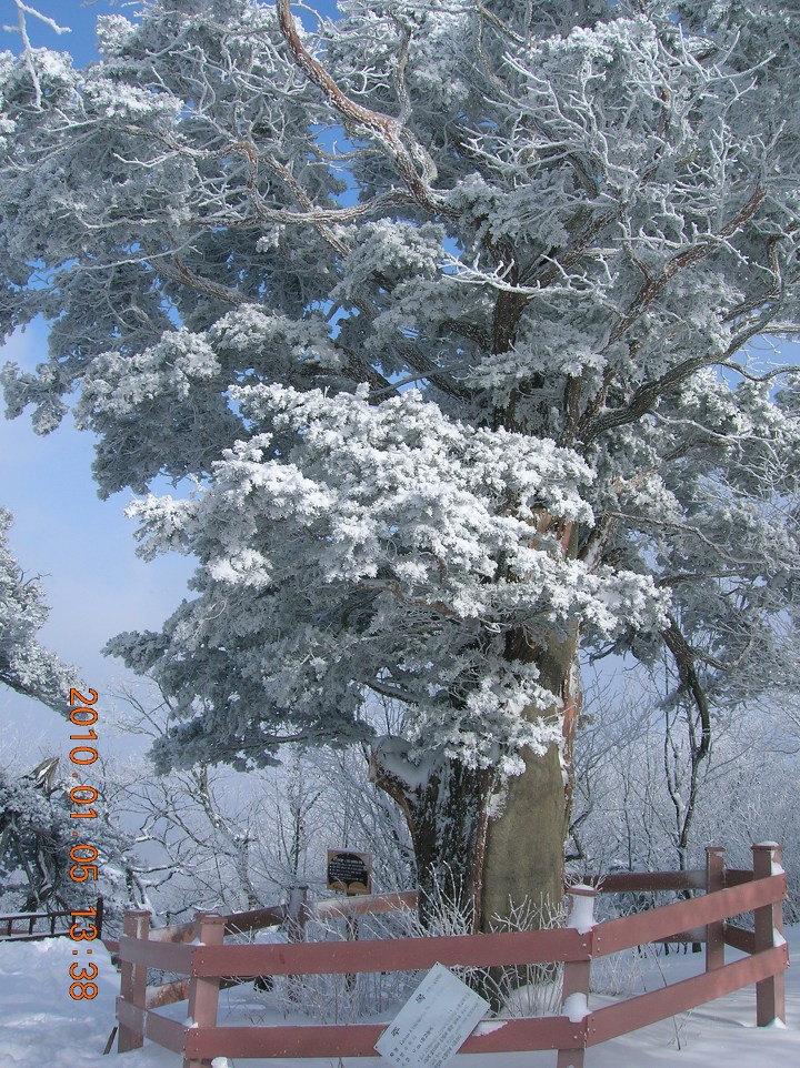 태백산 전경 이미지