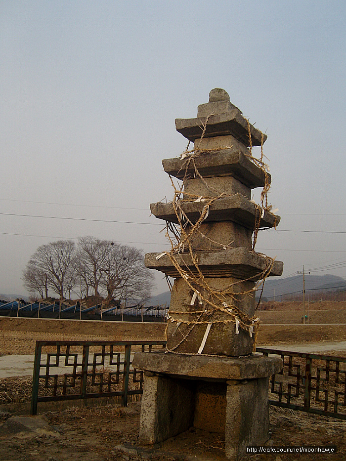 금바우 이미지