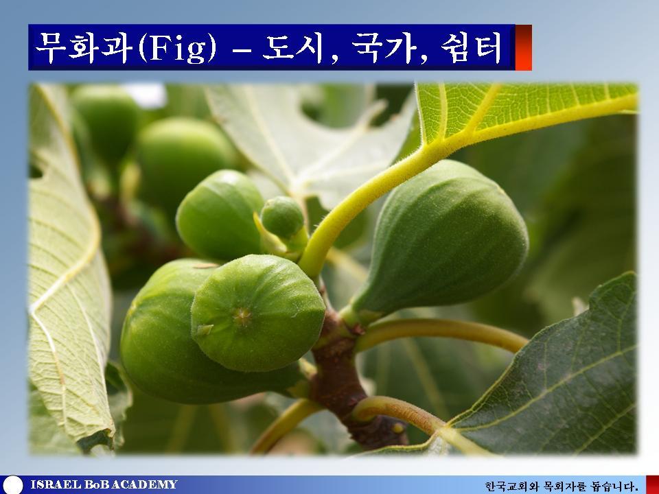 심볼리즘 이미지