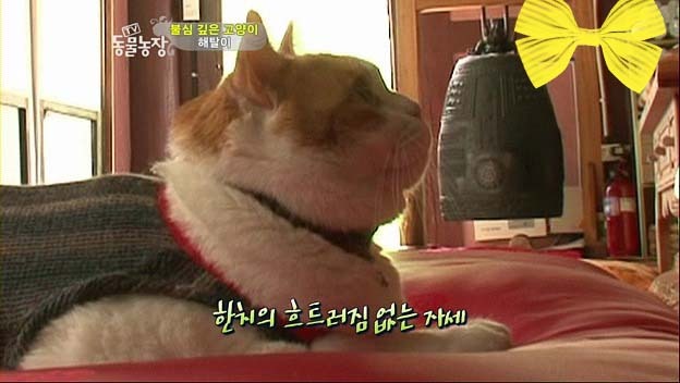 상귀농장 이미지