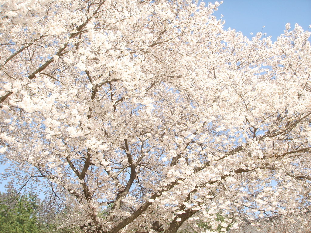 서대구IC주유소 이미지