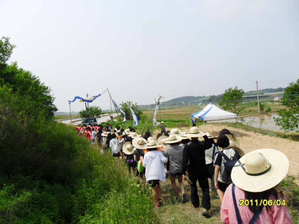 봉서중학교 이미지