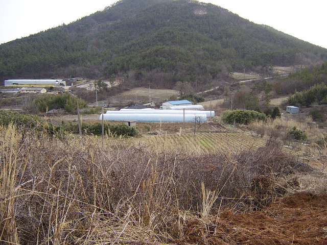 나눔농장 이미지