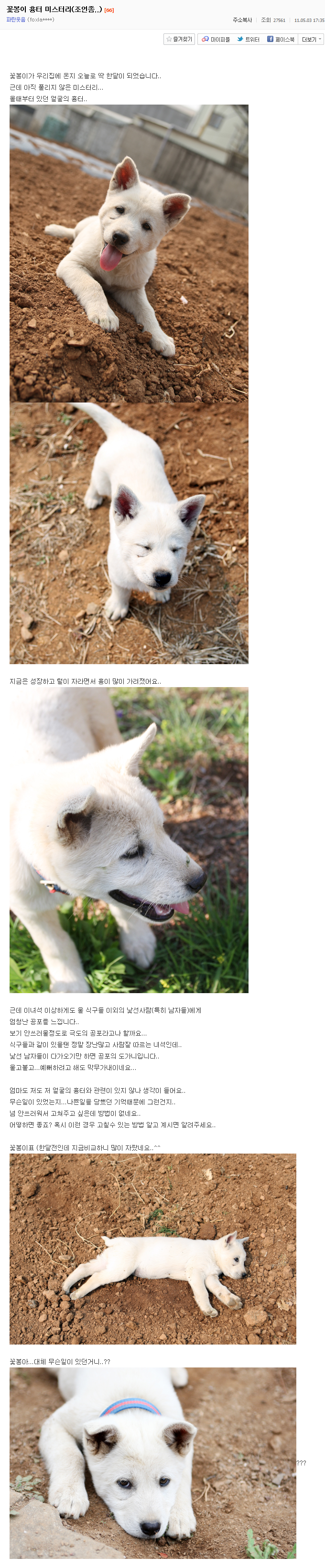사랑스러운 시골강아지 꽃봉이의 하루.jpg | 인스티즈