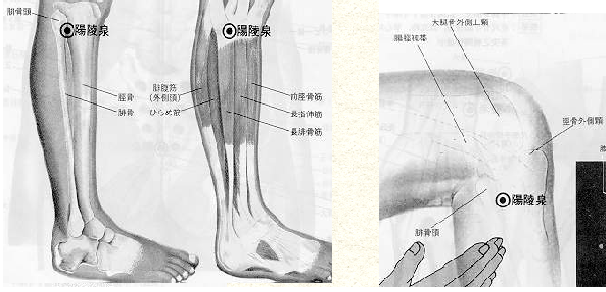 족삼리 이미지