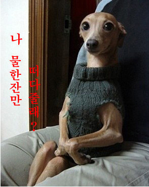 피식 이미지