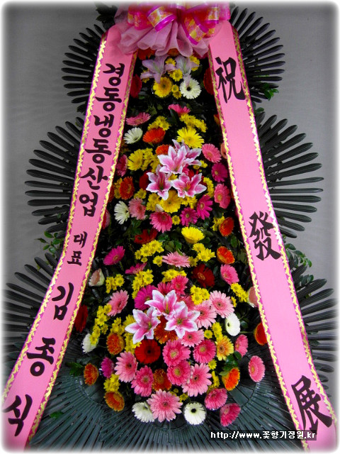 엔젤마트 이미지