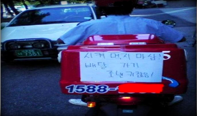 생태한마리 이미지
