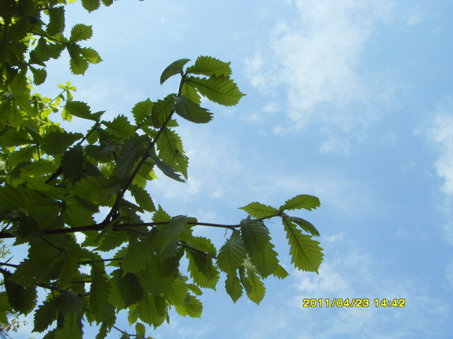 20715D554DB2AE2F2D8D87