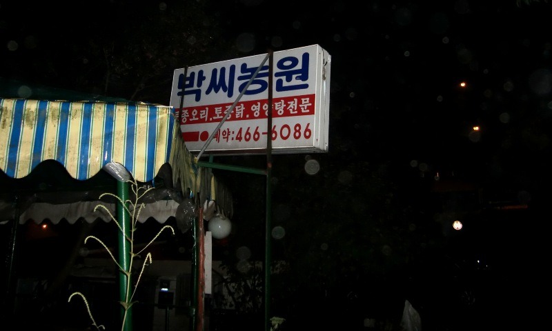 황제카센타 이미지