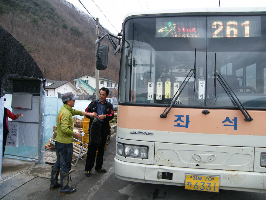 치산미나리 이미지