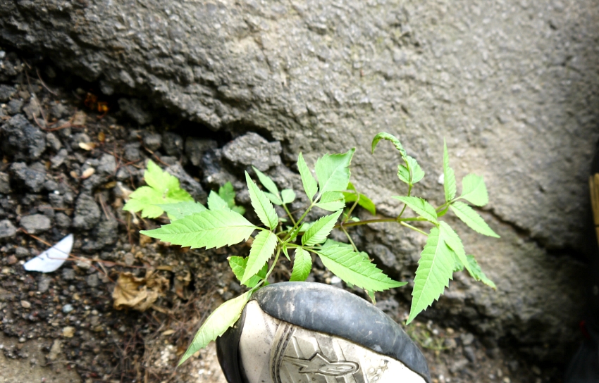삼일바이크 이미지