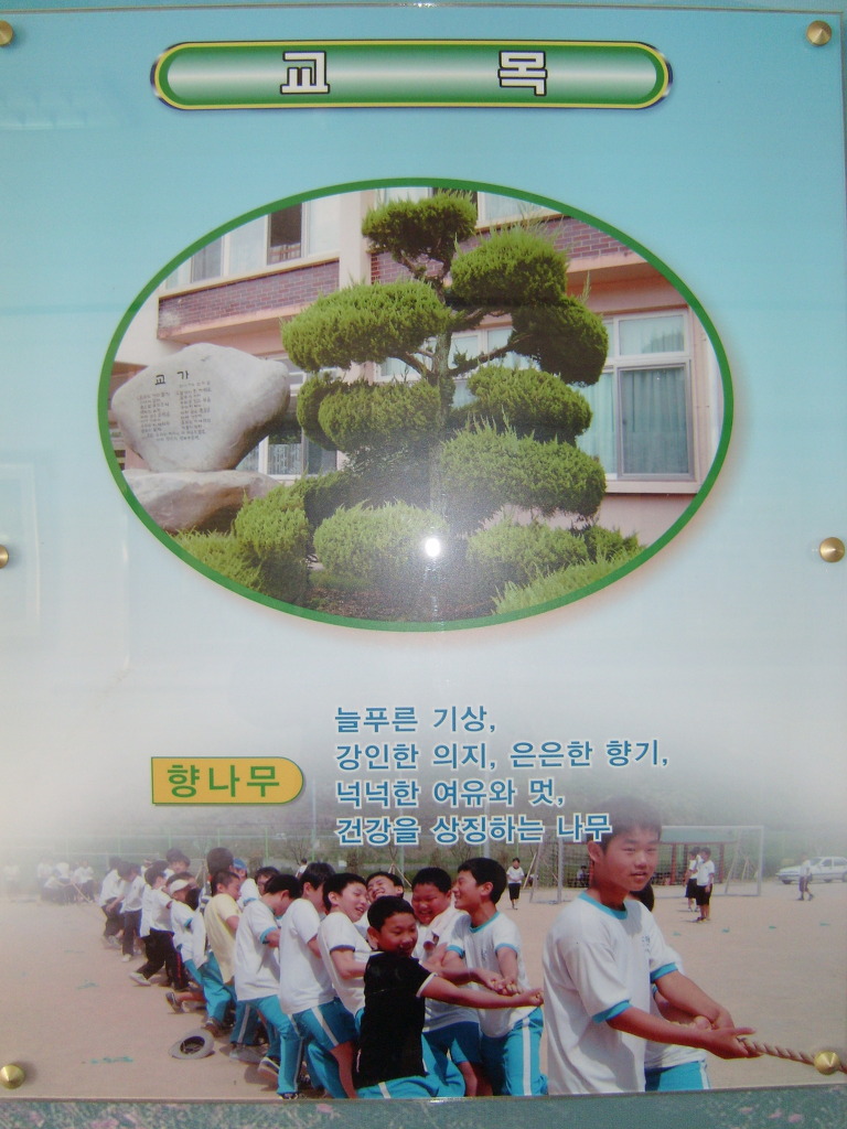 진전중학교 이미지