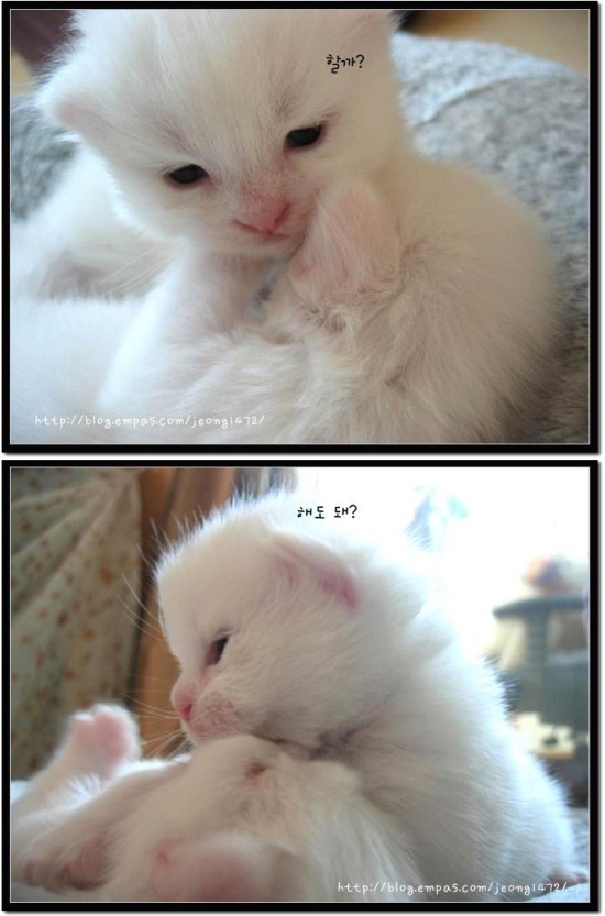 아 이미지