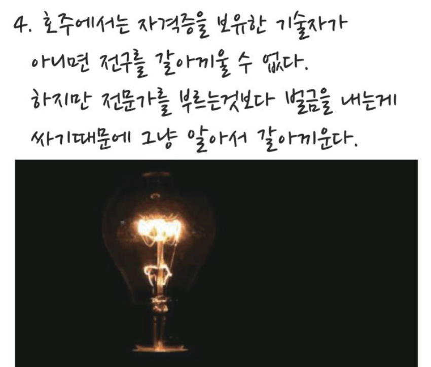 세계 황당한 법률 | 인스티즈