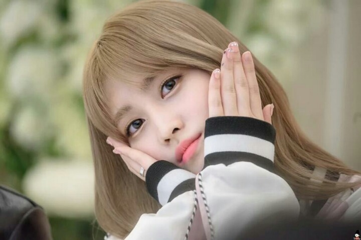 트와이스 모모 | 인스티즈