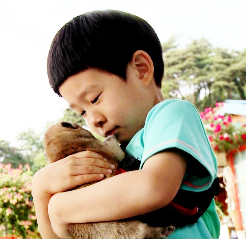 [아빠어디가] 동물이란 동물은 다 좋아하는 것 같은 민율이ㅋㅋ (아기♥동물=힐링) | 인스티즈