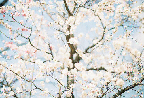  그리움을 모아 태우면 어떤 냄새가 날까 | 인스티즈