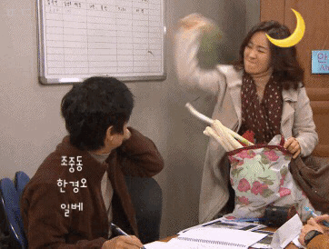강아지는 확실히 아담해야 귀여운거같음! | 인스티즈