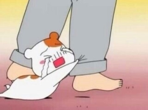 봉우 이미지
