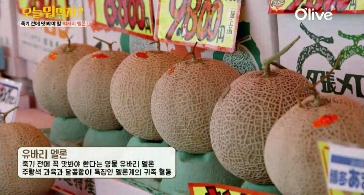 훗카이도 유바리멜론.jpg | 인스티즈