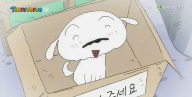 허구한 날 강아지 굶기는 가족 | 인스티즈