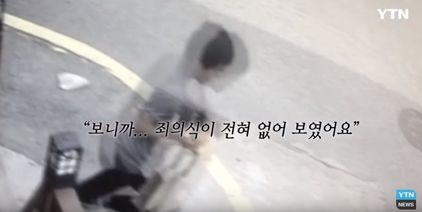 혐오,분노주의)고양이 잔혹하게 내던져 죽이고는 '웃으며 도망쳤다' | 인스티즈