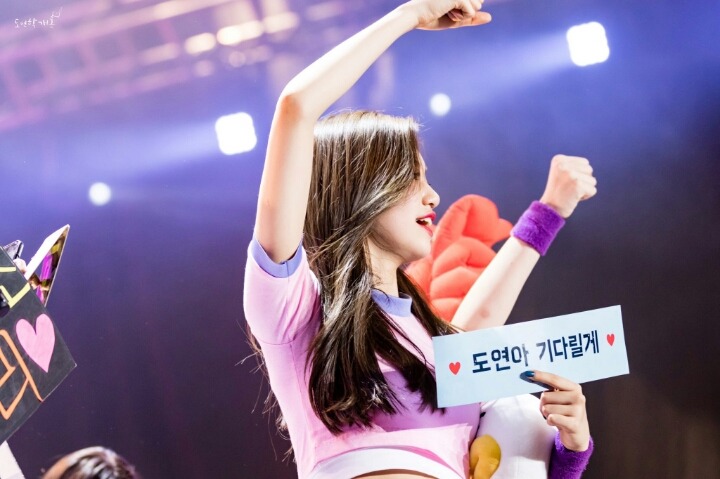 와가 이미지