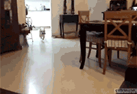 착지 실패.gif | 인스티즈