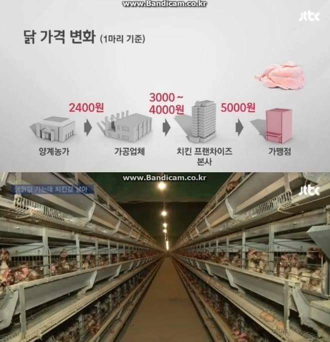 대한민국 치킨값 구조 | 인스티즈