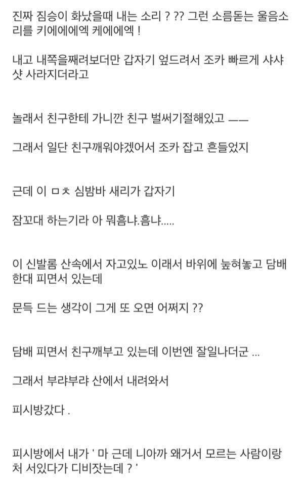 곧 개봉하는 영화 "장산범" 실제 목격 괴담 모음 | 인스티즈