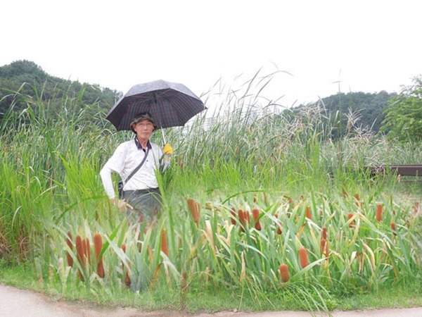 달하루 이미지