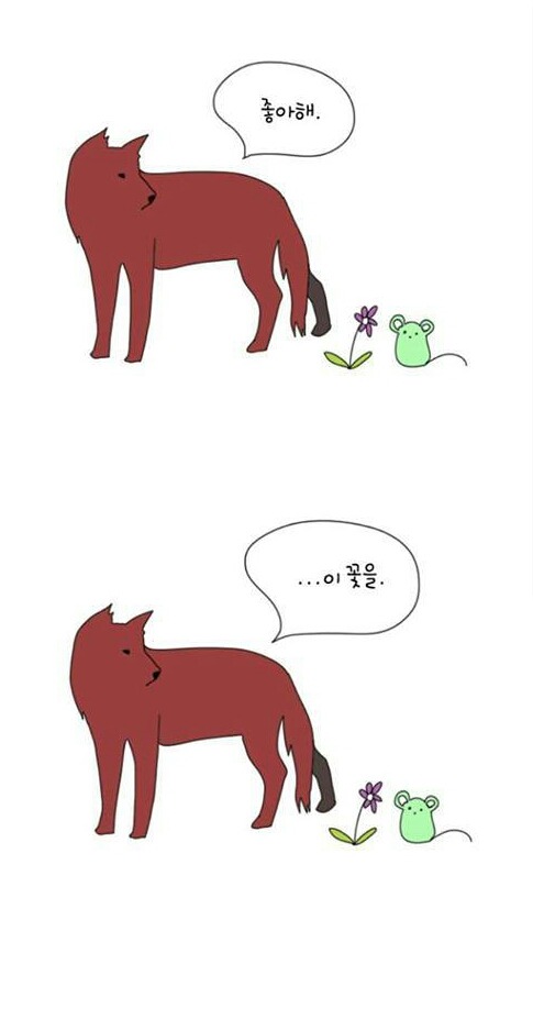 좋아해 | 인스티즈