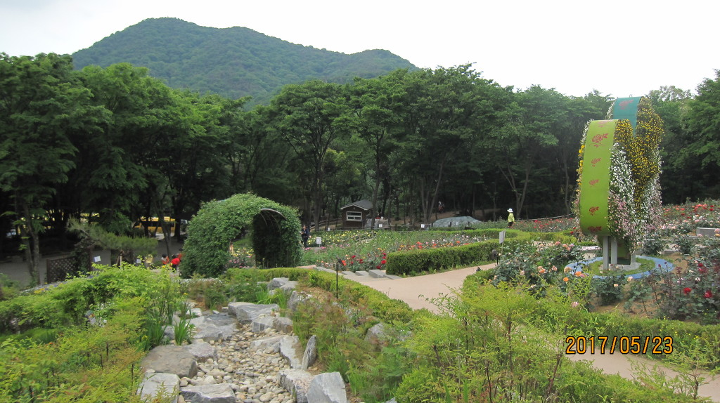 장미원 이미지
