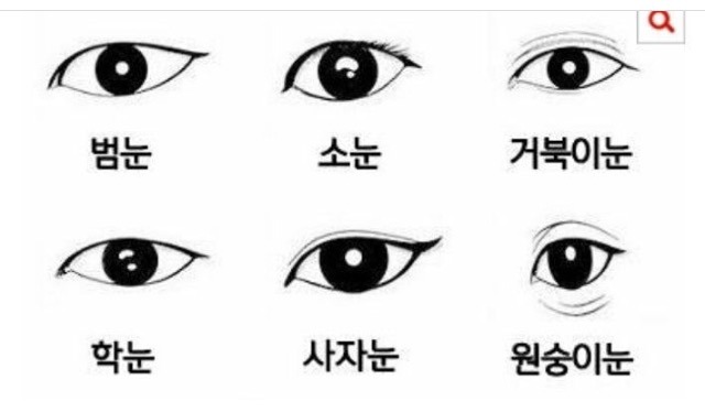 사람의 눈 모양 | 인스티즈