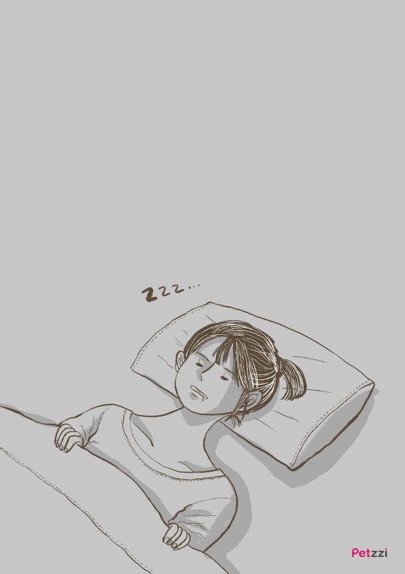 고양이 키우다 보면 느끼는 고양이의 소소한 취향.jpg | 인스티즈