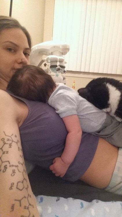 아기가 태어나기 전부터 사랑에 빠진 고양이.jpg | 인스티즈