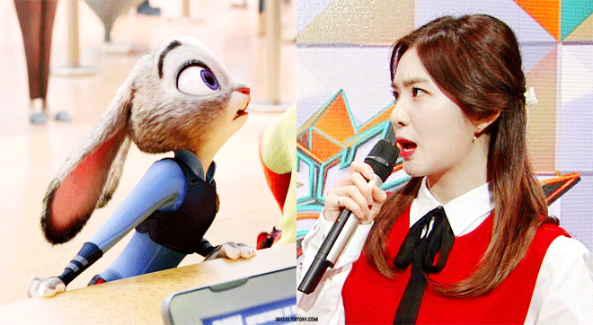 레드벨벳 토끼 아이린.gif | 인스티즈