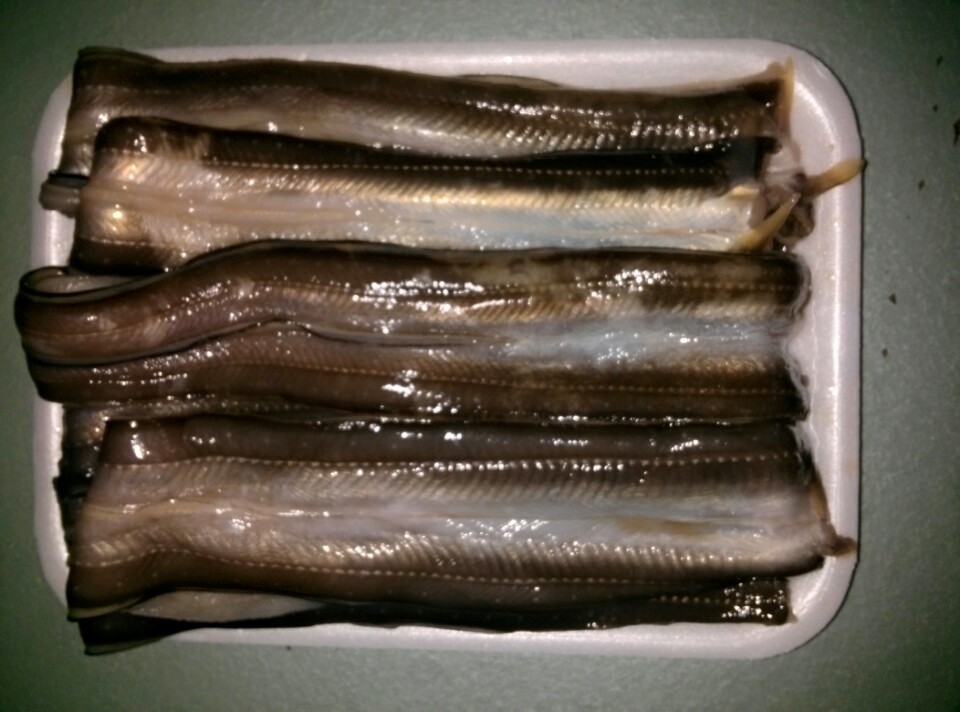 바다홍게 이미지