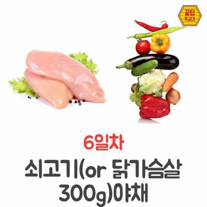 7Days 7kg GM 다이어트 | 인스티즈