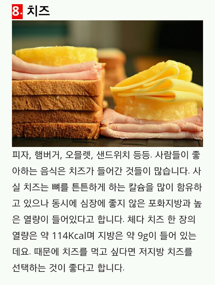 뚱뚱한 사람이 즐겨 먹는 음식 Best 10 | 인스티즈
