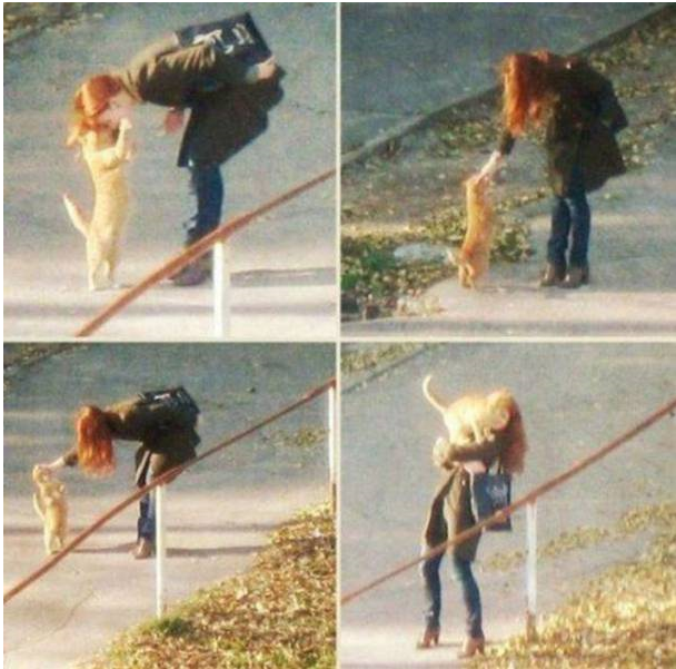 너 내 집사하라옹 | 인스티즈