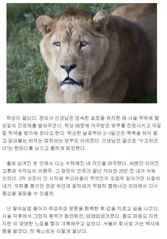 브라질리언 왁싱을 직접 체험해 본 기자 | 인스티즈