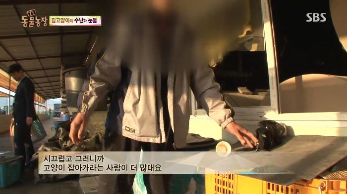 눈앞에서 제 아이가 맞아죽었습니다. 도와주세요 | 인스티즈