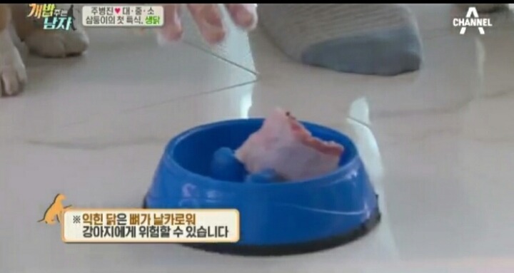 [개밥주는남자] 웰시코기 삼둥이 대중소 식탐고치기 (feat.갓형욱) | 인스티즈