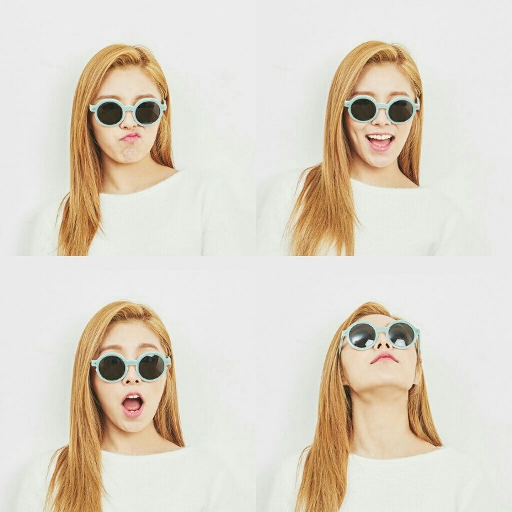 지빠 이미지
