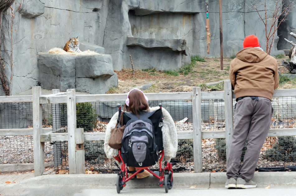 리얼돌과 결혼한 사람들 | 인스티즈