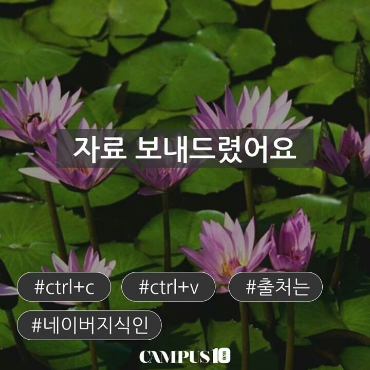 조별 과제에 없었다면 내 건강에 조금 좋았을것같은 친구들 | 인스티즈
