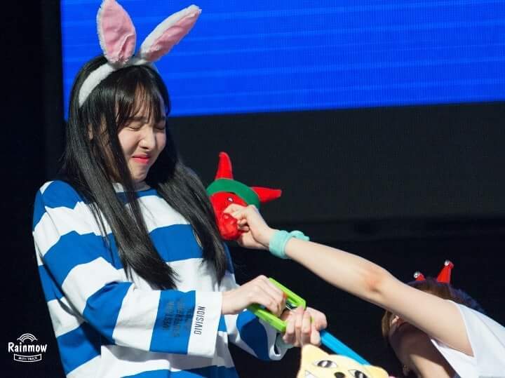 꾹꾹이와사나 | 인스티즈