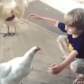 뭔가 훈훈.gif | 인스티즈